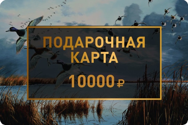 Подарочная карта 10 000 рублей.jpg